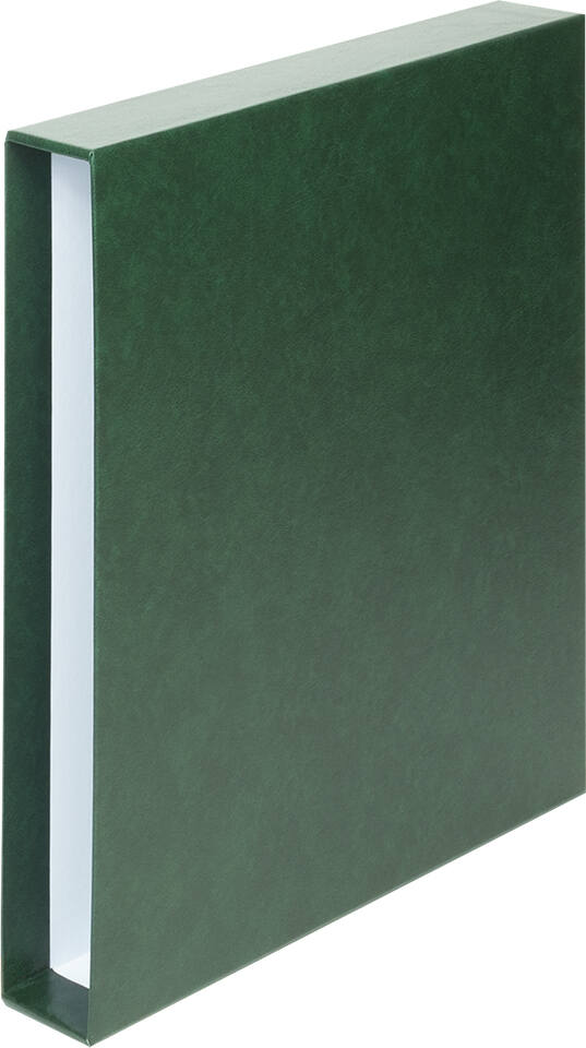 Kassette zu Ringbinder CLASSIC, grün