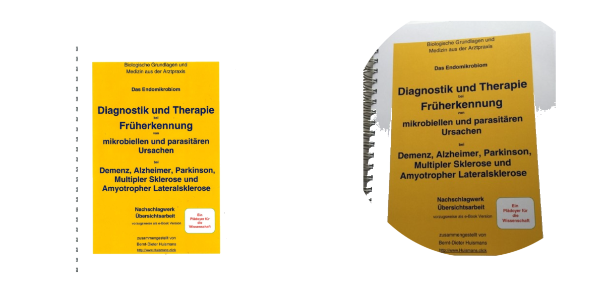Das Endomikrobiom Diagnostik und Therapie Dr. B. Huismans