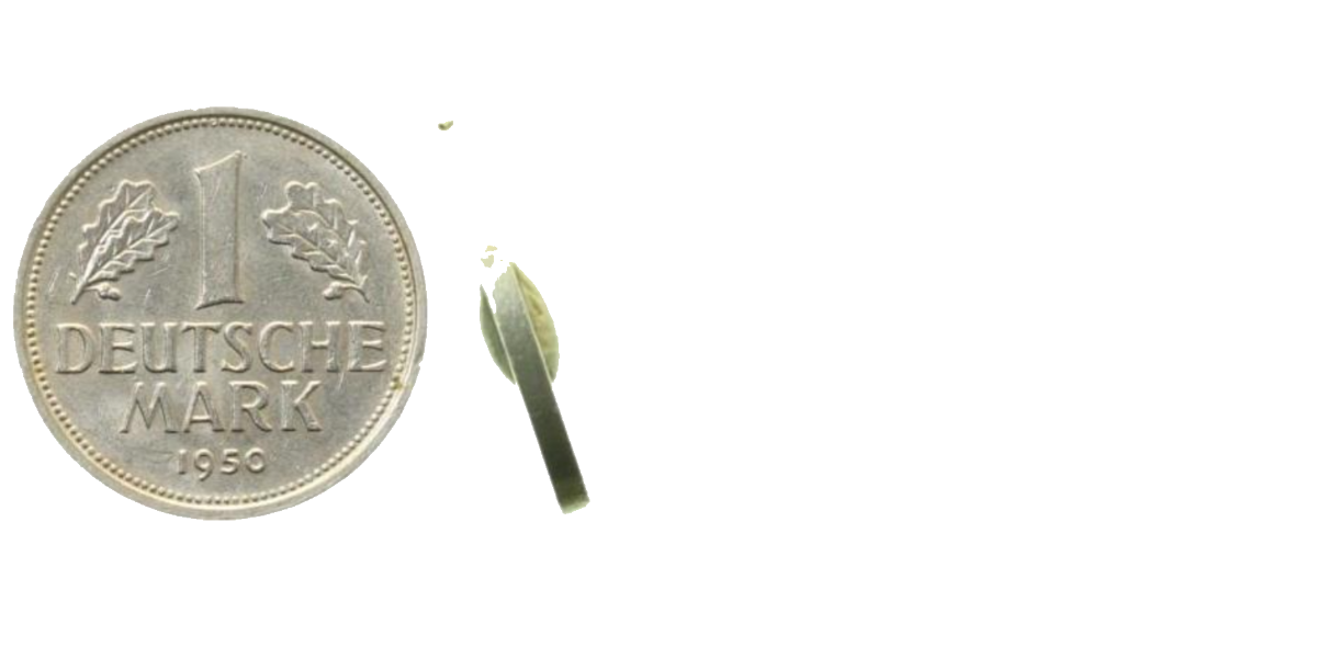 1 Deutsche Mark 1950 D Fehlprägung ohne Randinschrift ! J385